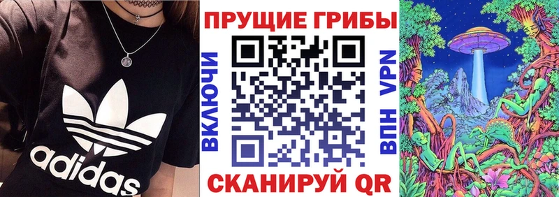 Галлюциногенные грибы MAGIC MUSHROOMS  где купить наркоту  Карачев 