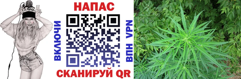 Каннабис AK-47  Карачев 